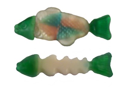 [xrayfishfinal.jpg]