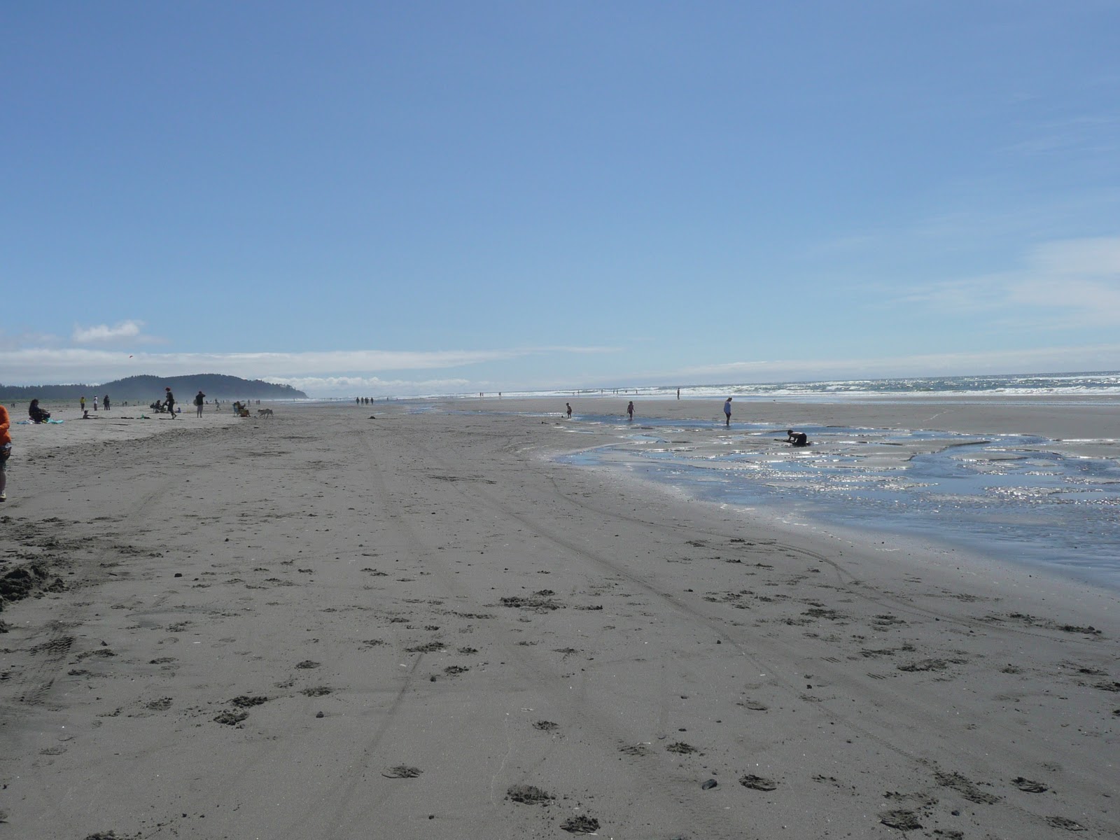 Long Beach Washington