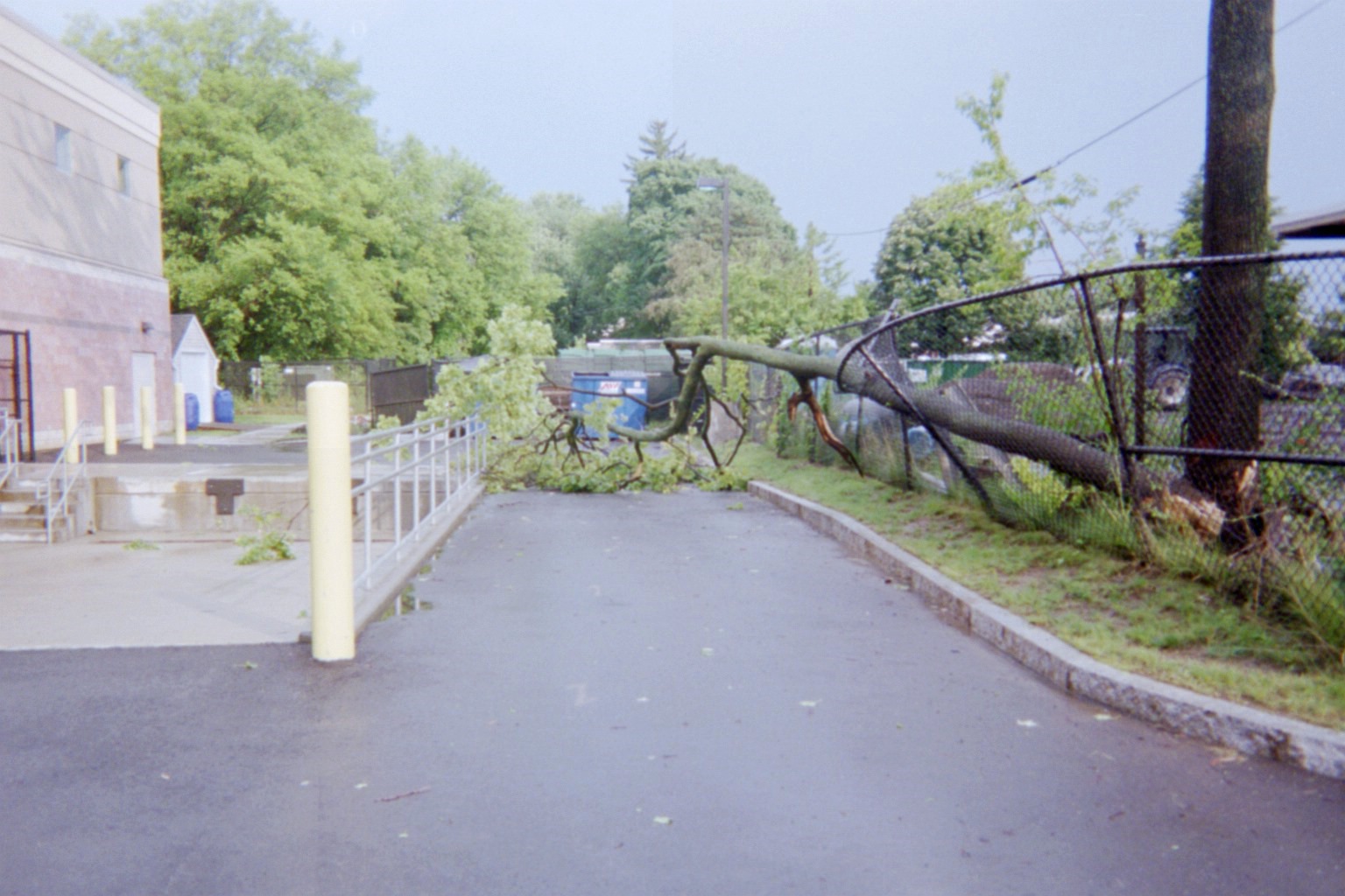 [IMG013.JPG]