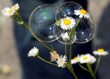 [Bizarre+Art+of+Bubbles+in+Photography+and+Nature17.jpg]