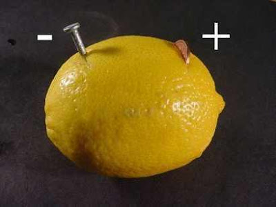 اصنع بطارية من الليمون Lemon+battery+experiment+2