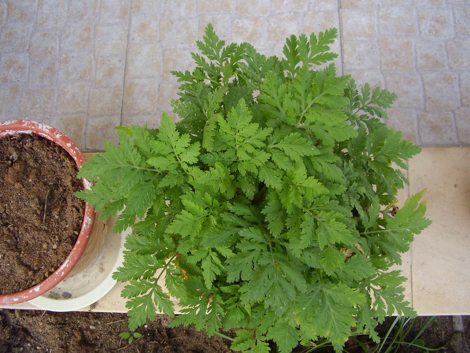 [PA280194.JPG]