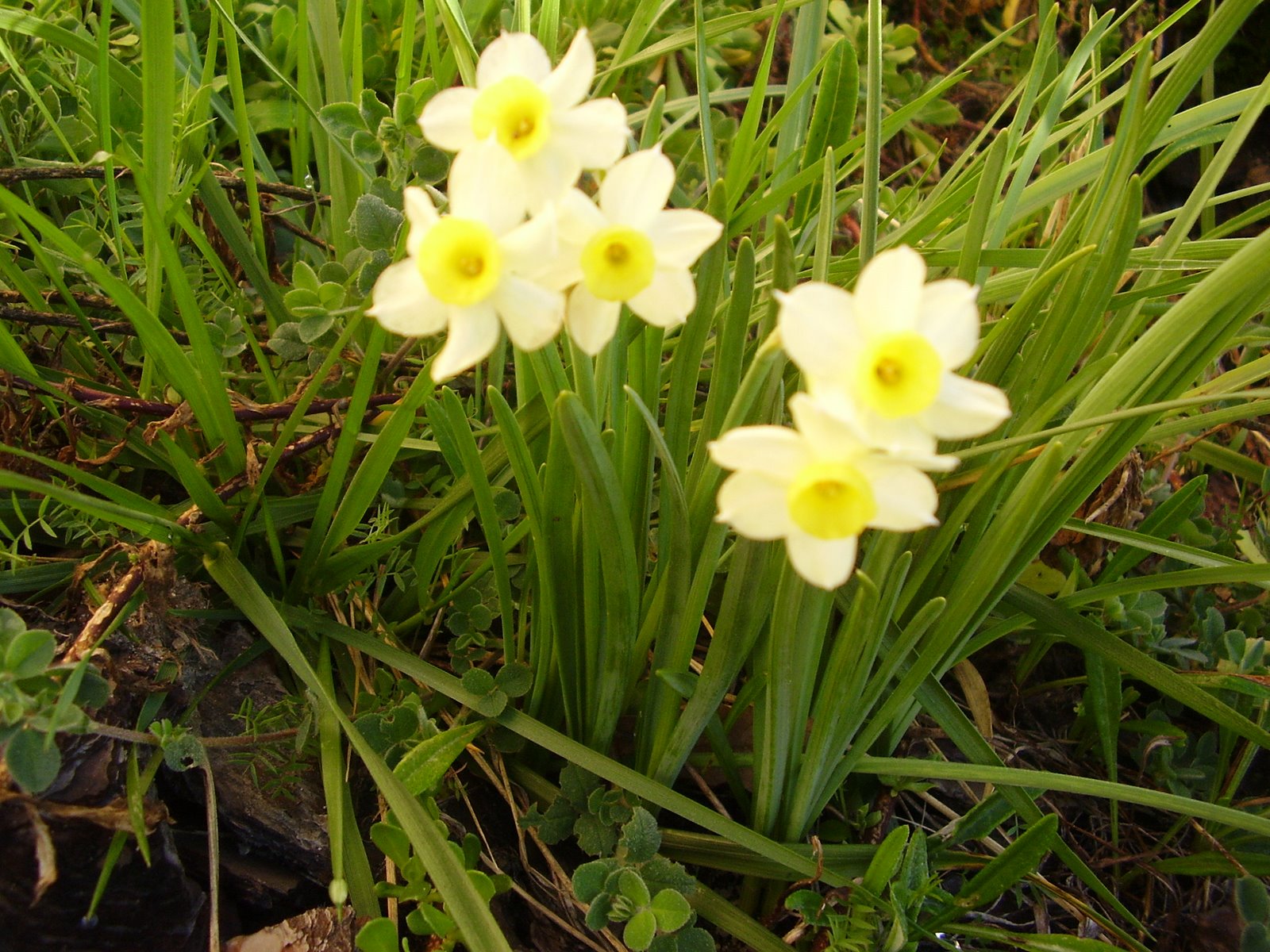 [P3090195.JPG]