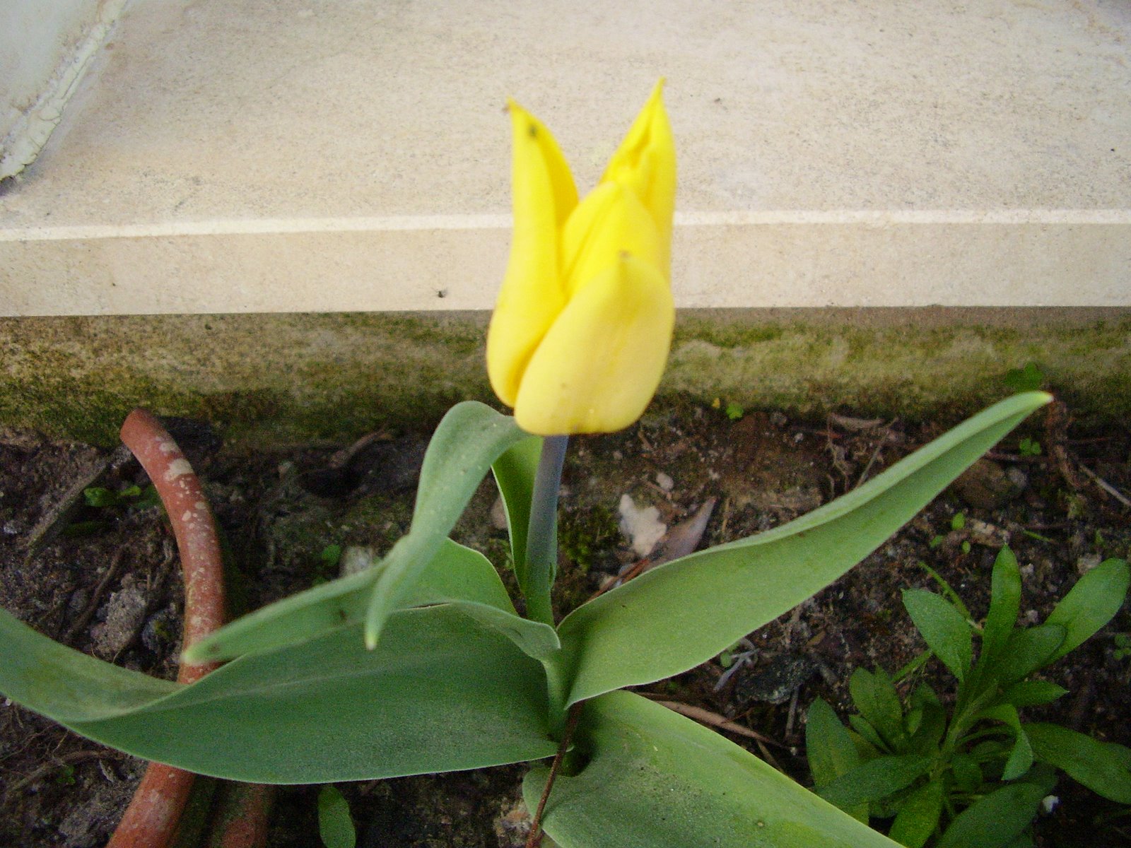 [P3140237.JPG]