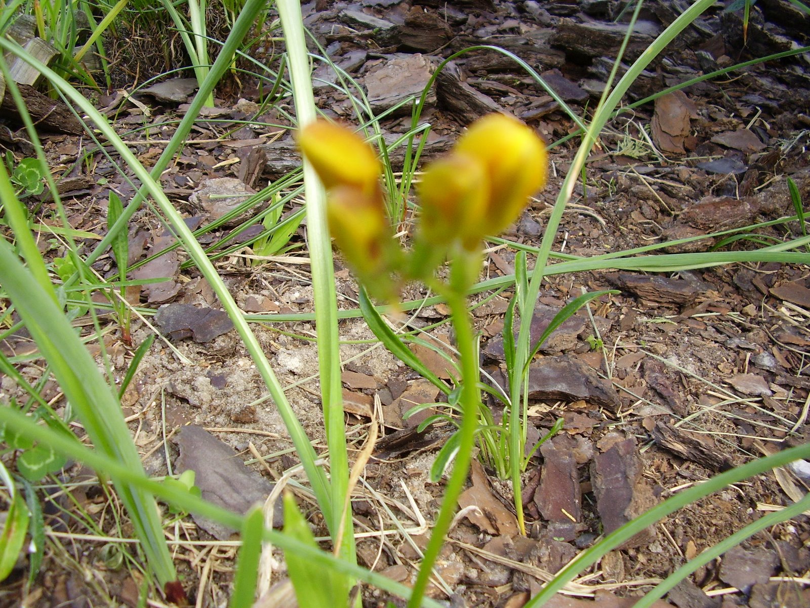 [P3220305.JPG]