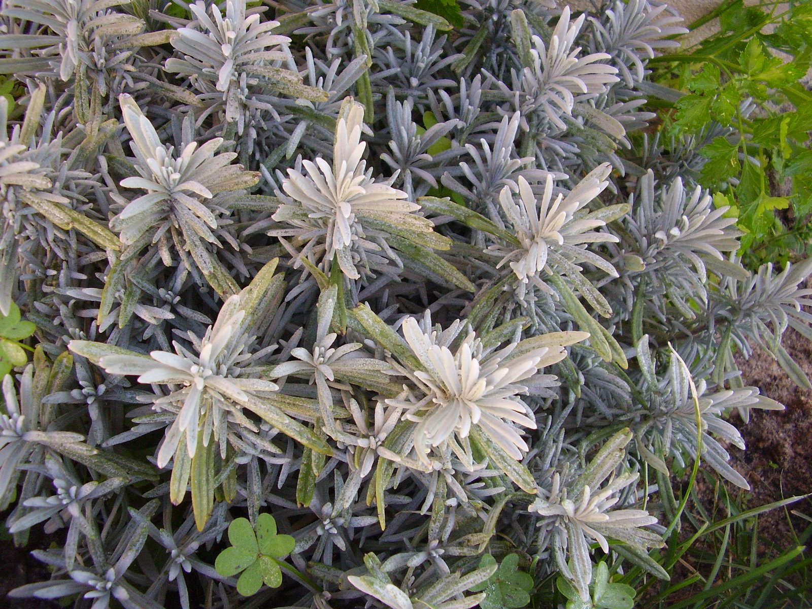 [P3100202.JPG]