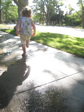[IMG_2332.jpg]