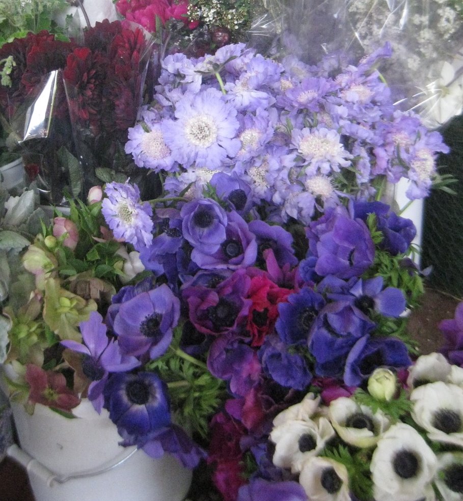 [IMG_2532.JPG]