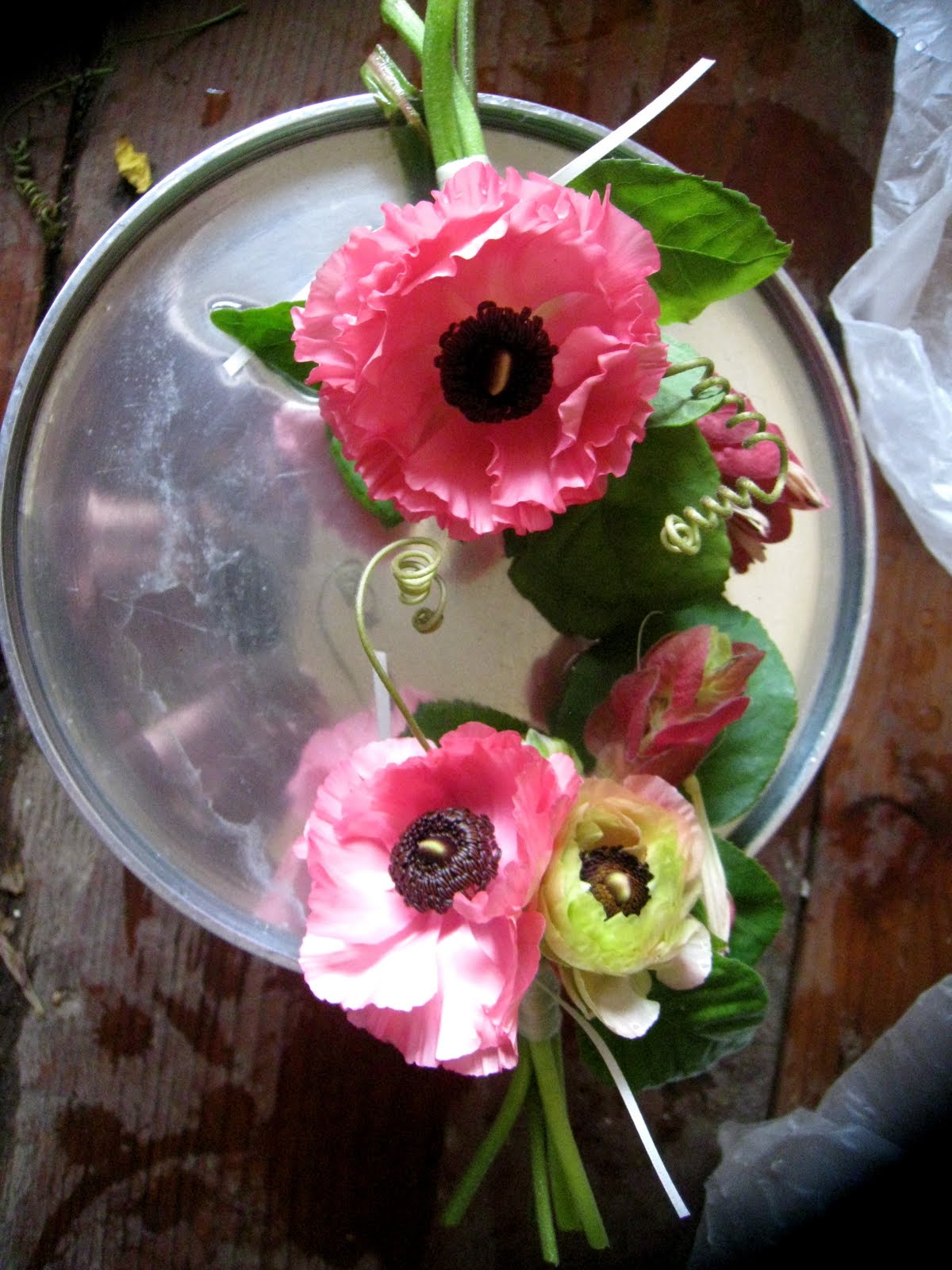 [IMG_4495.JPG]