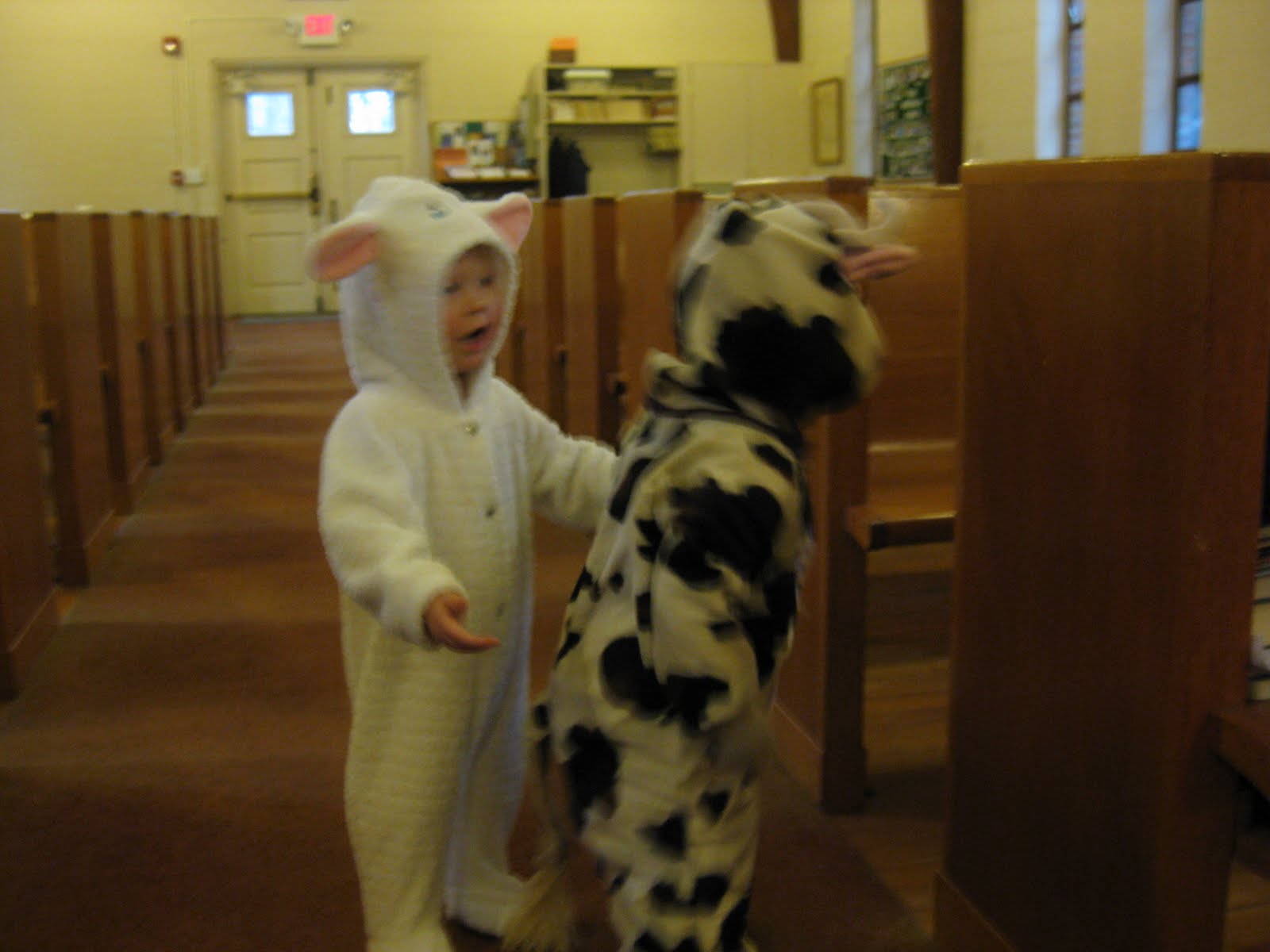 [joulukuu+2009+004.JPG]