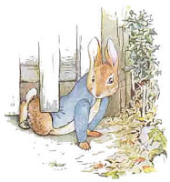 Peter Rabbit