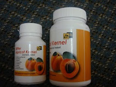 Apricot Kernel