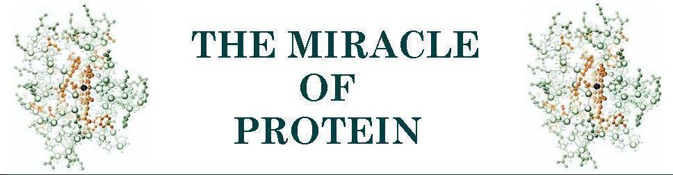 THE MIRACLE OF PROTEIN