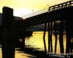 Ferry Dock