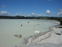 Rotarua Lake