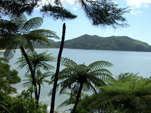 Tonga Bay from the track