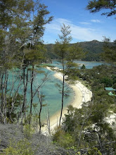 Torrent Bay