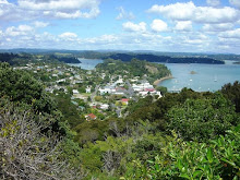 Russell from Flagstaff Hill
