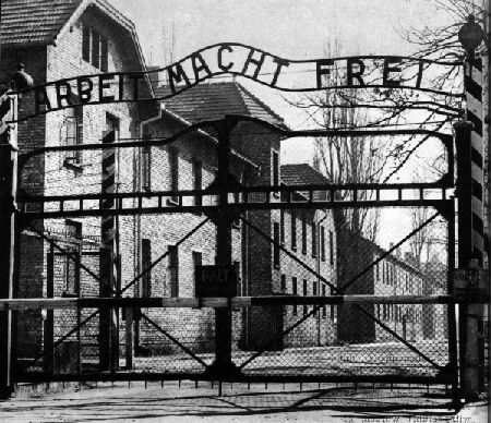 4-2-2_01_tor_auschwitz.jpg