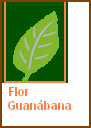 Flor Guanábana