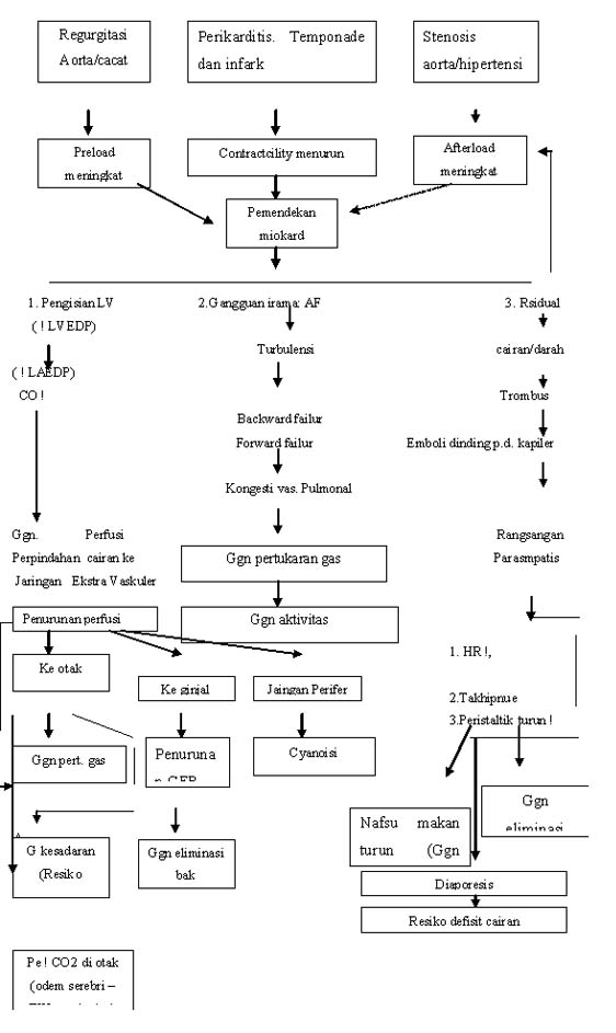 [Pathway+Decompensasi+Cordis.jpg]