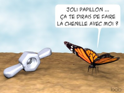 papillon_ecrou.jpg