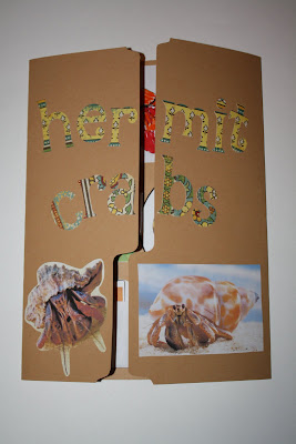 LAPBOOK ( libro fai da te che si ricava da una semplice cartella a tre lembi e qualche foglio di carta colorata) Hermit+crab+lapbook+019