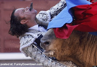 matador-Julio-Aparicio-bullfight-accident-spain-bull-horn-impaled-penetrates-throat-mouth-scary-photos-3.jpg