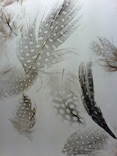 Delicadeza