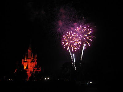  A Dream Is A Wish Your Heart Makes....