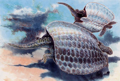 Plesiosaurio Plesiosaurio
