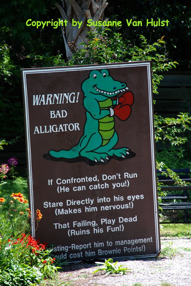 [Alligator+sign.jpg]