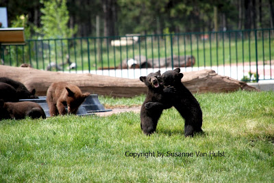 I love you sooooooo much,