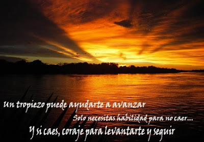 vivir vivir