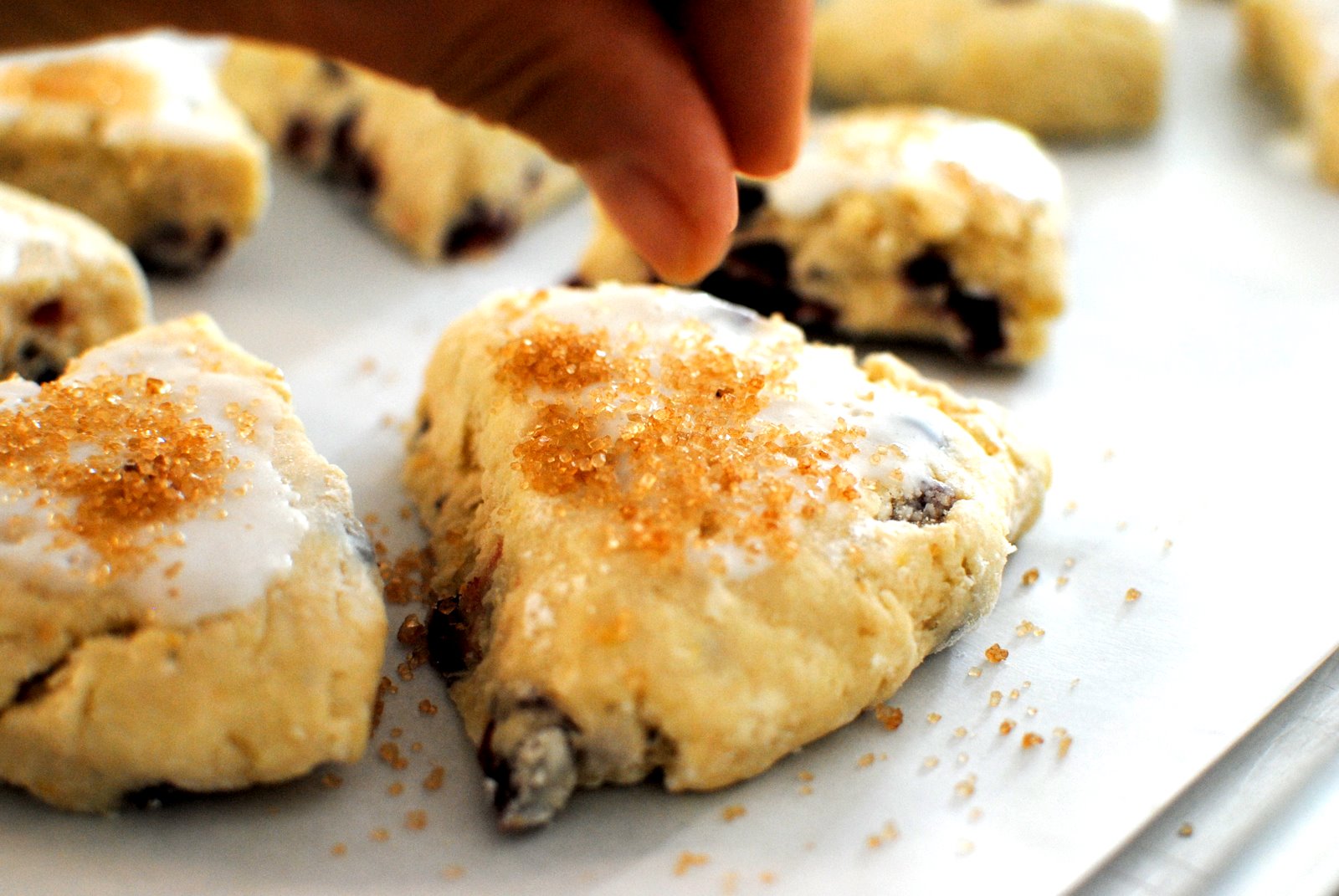 +The Church Cook OrangeCranberry Scones