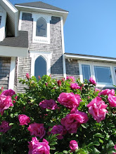 Roses in the Gardens of the house we built... now sold