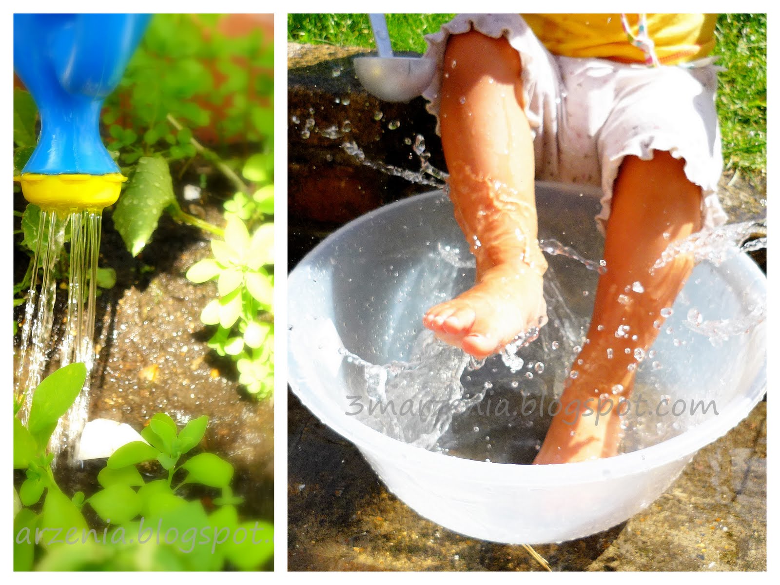 BBC 父亲的生物学意义BBC Biology of