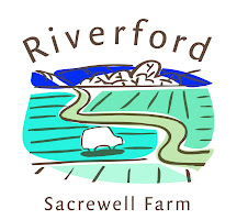 Riverford organic veg boxes...