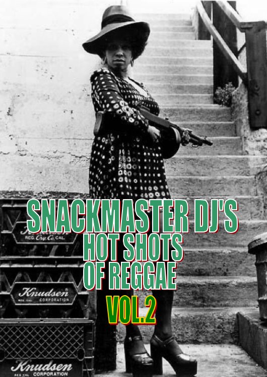 HOTS SHOTS OF REGGAE VOL.2