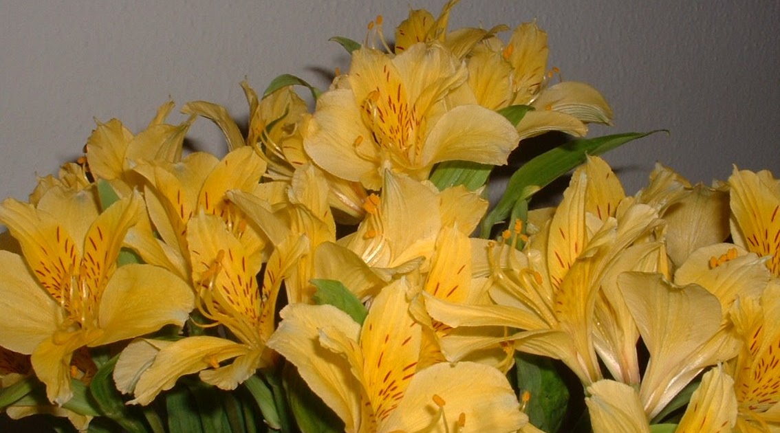 The Webb Home publix flowers