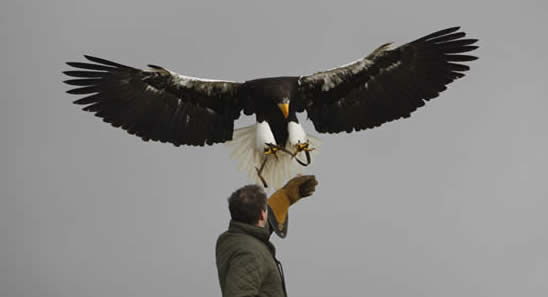 Unnutzes Wissen Zum Angeben Archiv Seite 7 Ioff Das