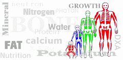 Body Composition