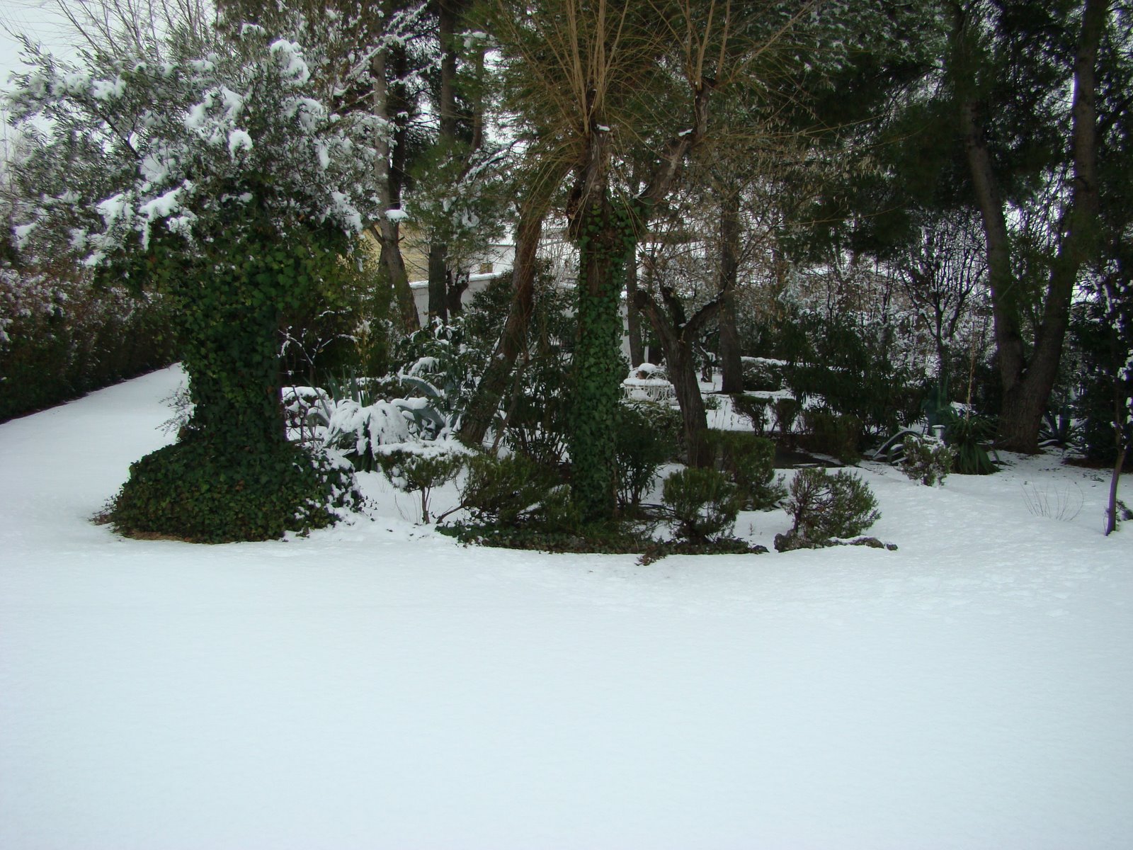 [DSC02391.JPG]
