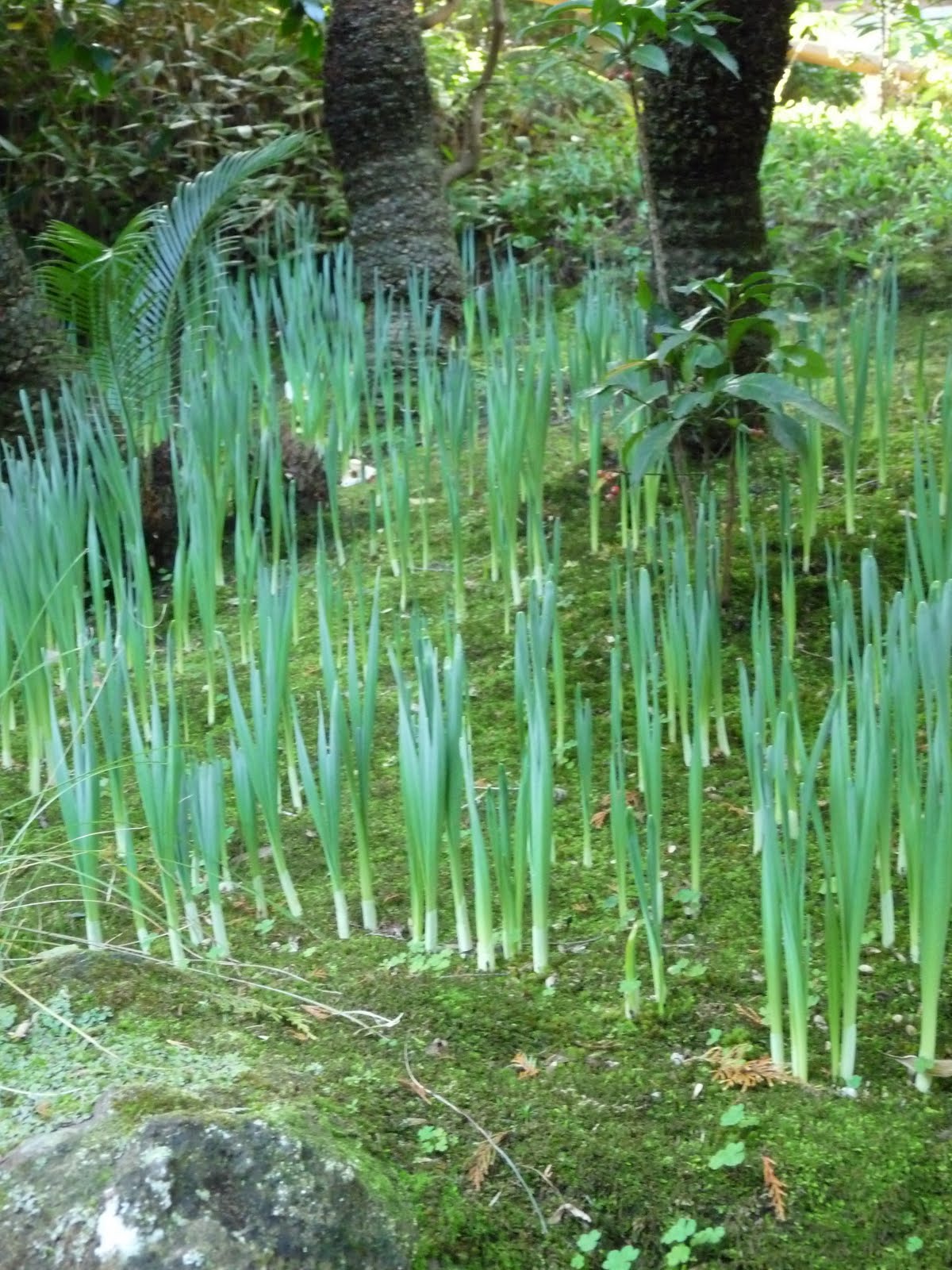 Gayle and Jaime in Kitchen