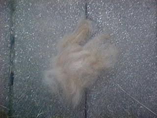 Rayna's hair