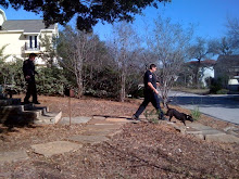 Policemen usher stray dog