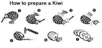 kiwi.bmp