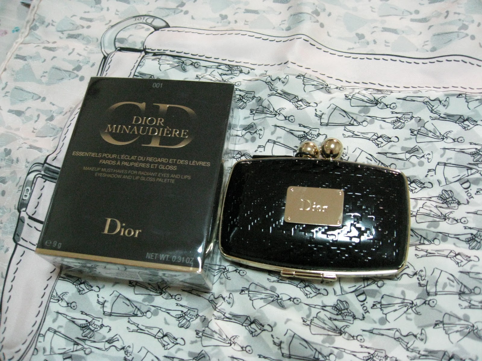 dior minaudiere
