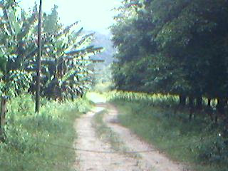 Sitio a caminho do Mambú