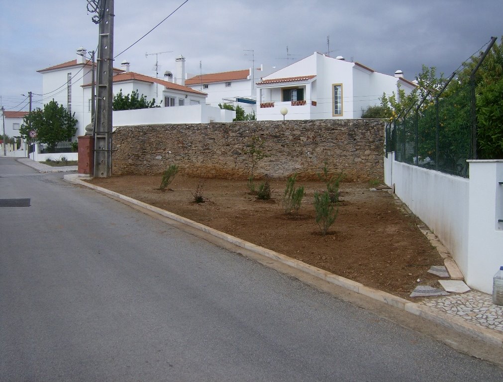 [HPIM0894.JPG]